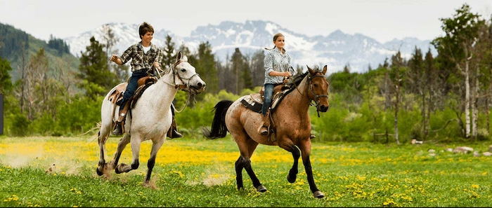Confident plus-size woman riding Kingswinford a horse through a field with a smile on her face.